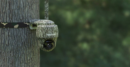 Wildcamera Reolink bij Nos jeugdjournaal