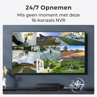 Reolink NVS16 24/7 opnemen met 16-kanaals NVR