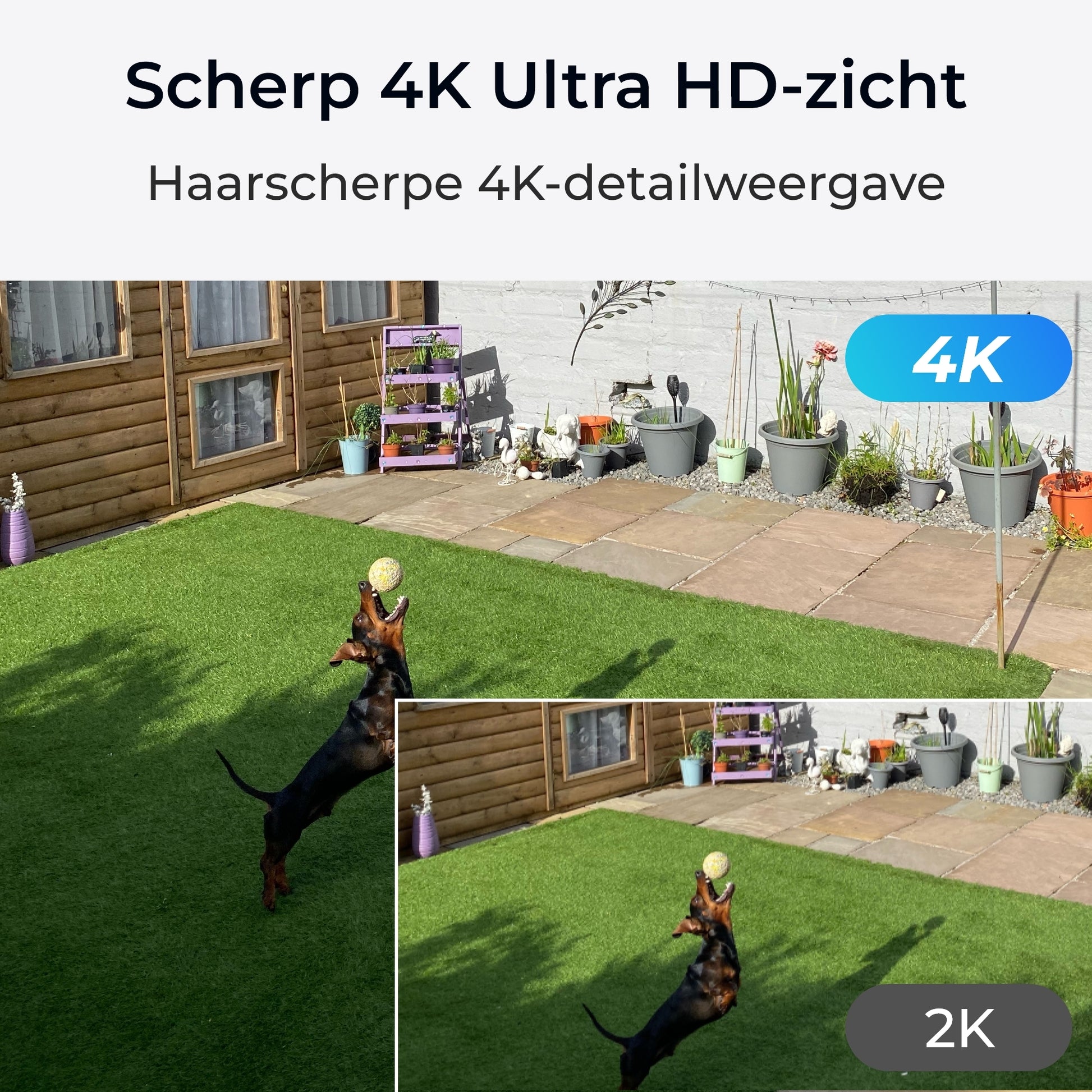 Reolink P434 scherp 4k ultra hd beeld
