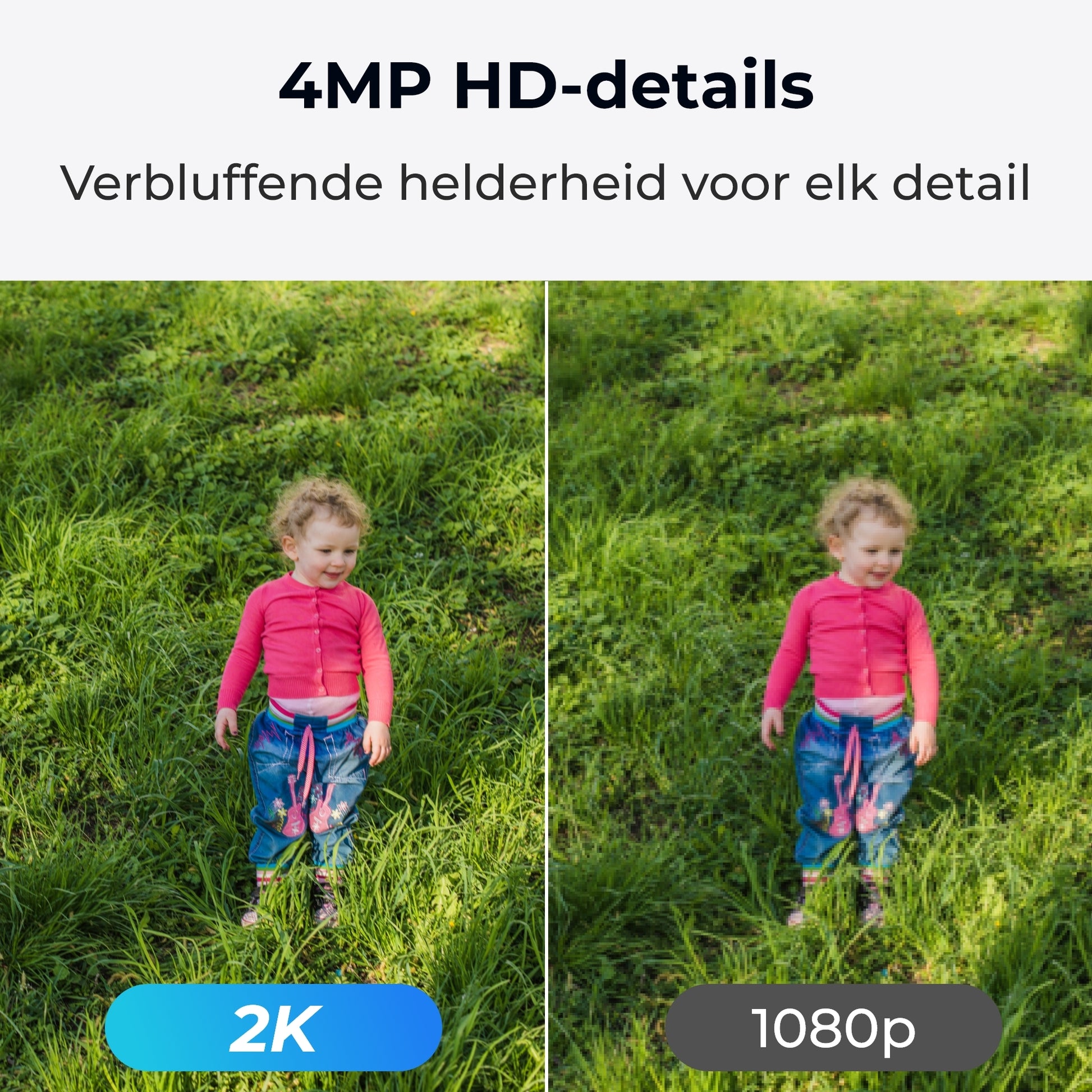 Reolink E330 - 4MP binnencamera