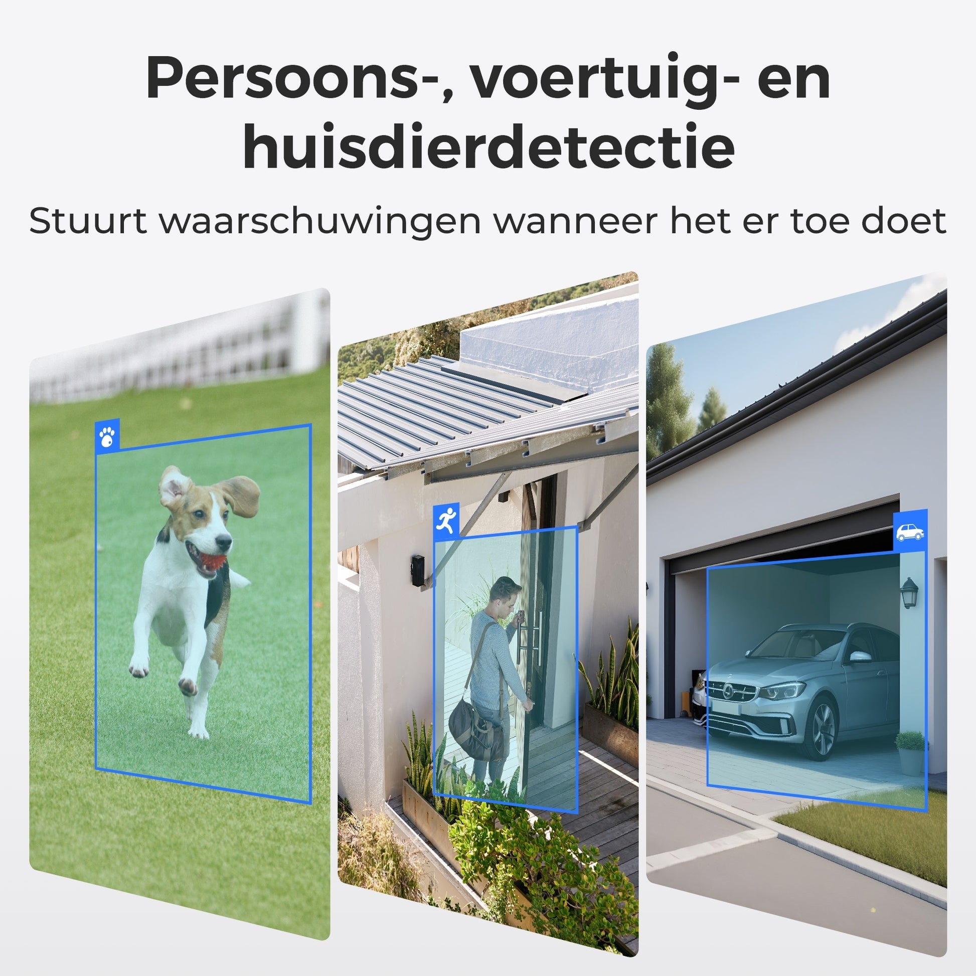 Reolink P344 detectie personen, voertuigen en huisdieren