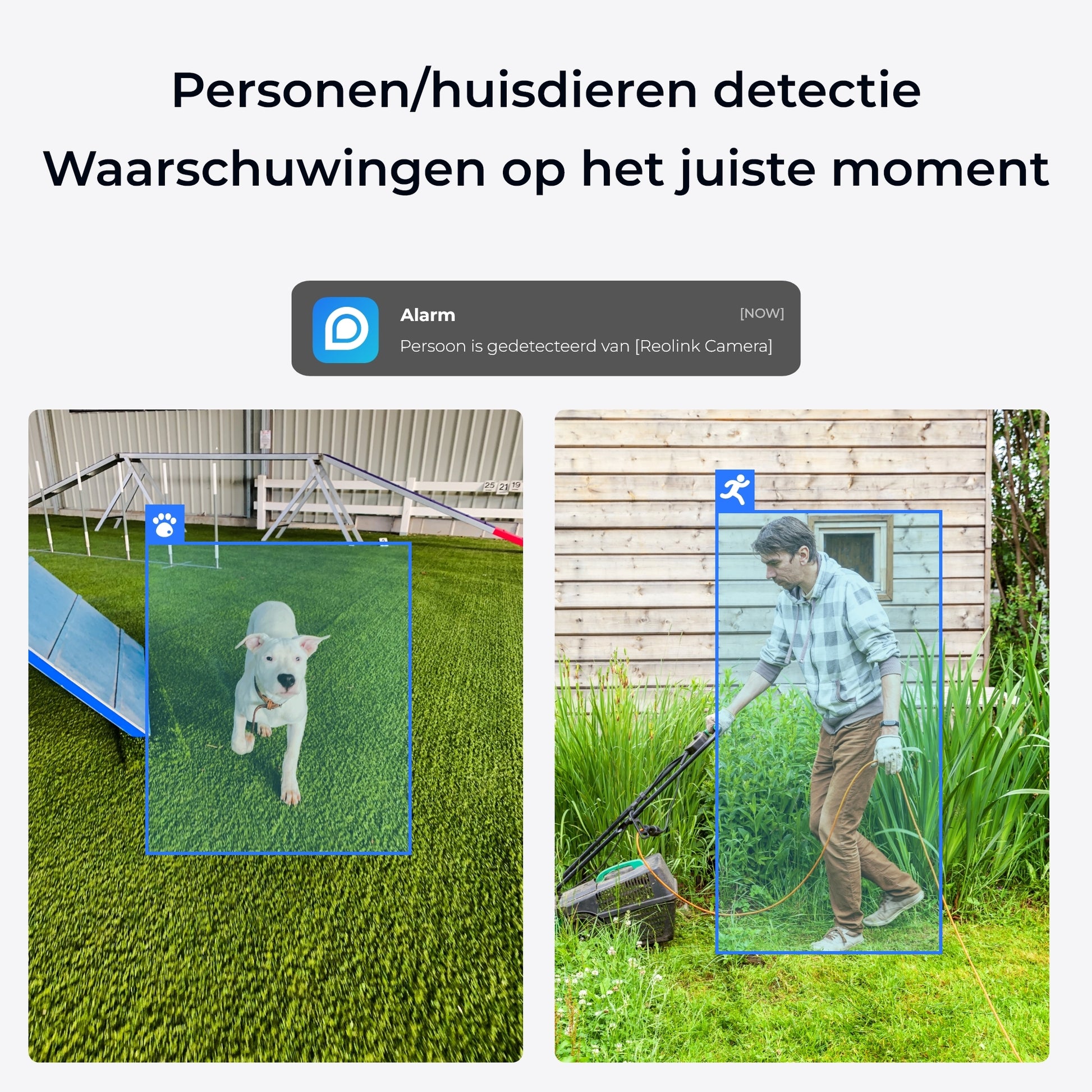 Reolink E serie E340 slimme detectie