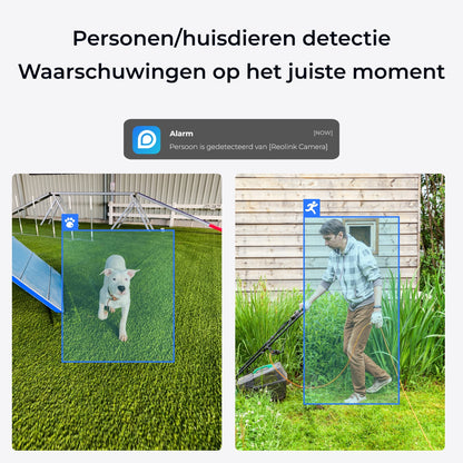 Reolink E serie E340 slimme detectie