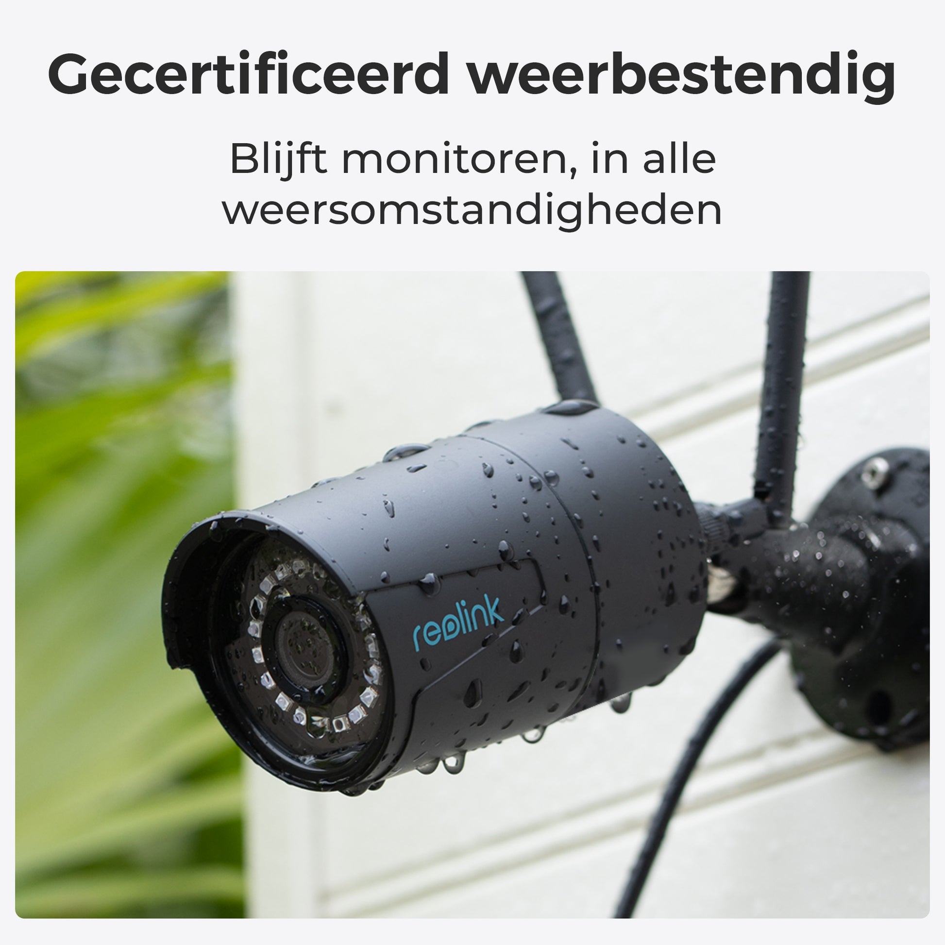 Reolink W320 zwart weerbestendig 