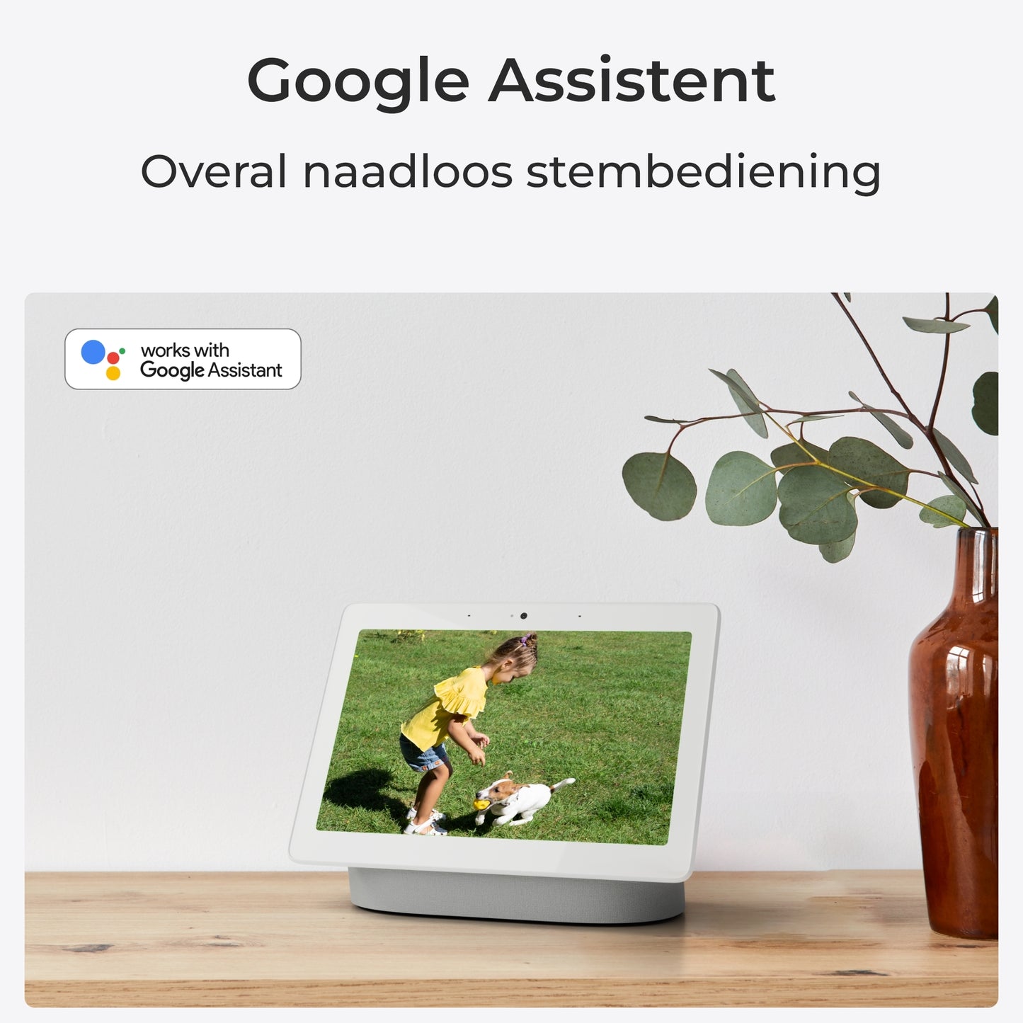 Reolink Argus B360 met Google Assistent