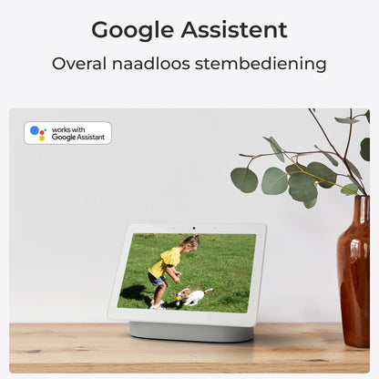 Reolink Argus B360 met Google Assistent
