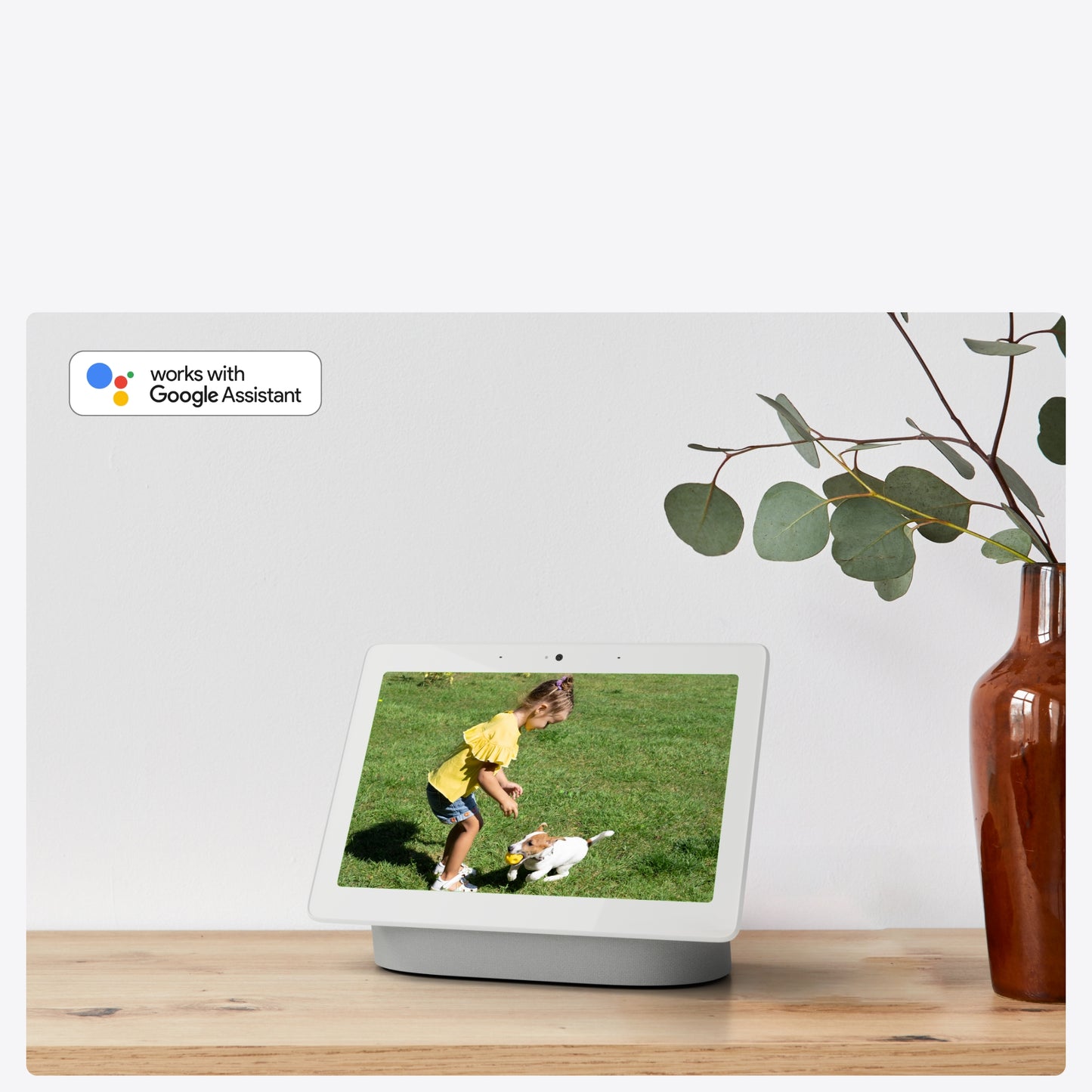 Reolink D340W videodeurbel met smart home Google Assisten