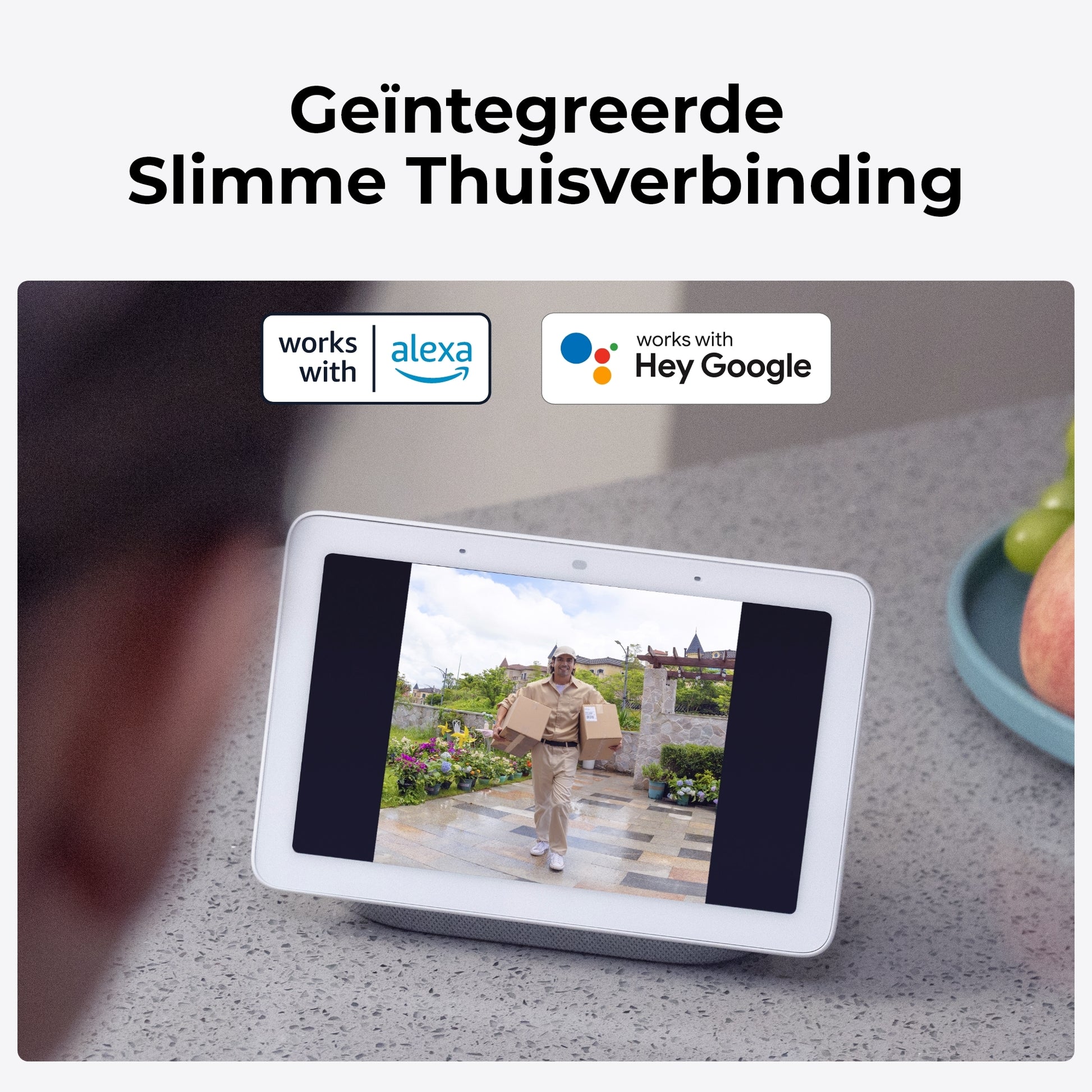 Reolink D340 Google assistent en Alexa
