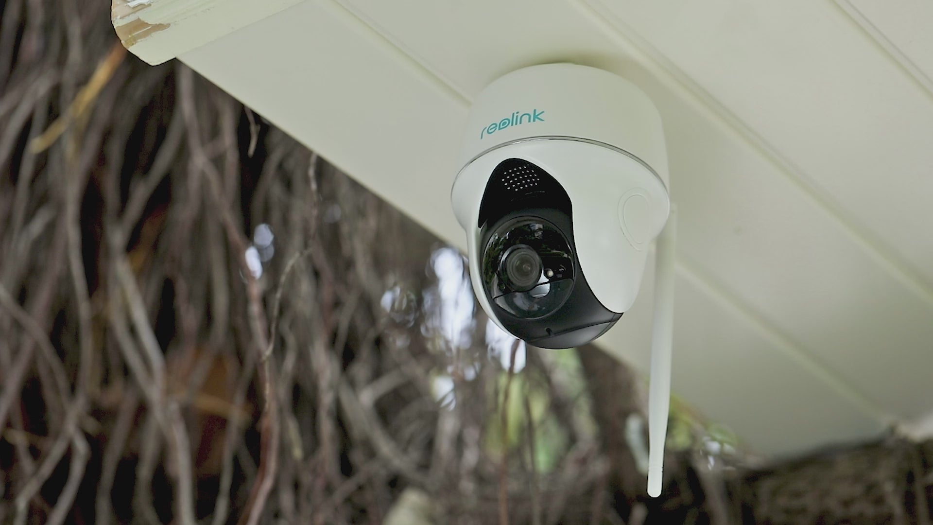 Video laden: Video Reolink B430 serie Argus